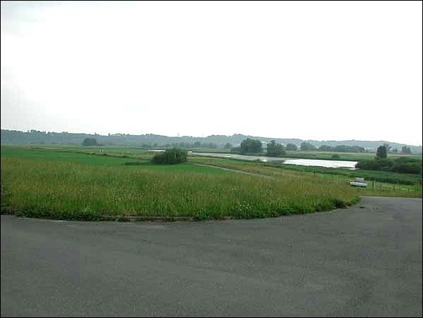 Next Image